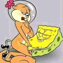 @pzt751