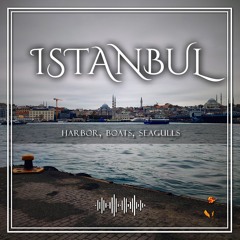 Istanbul Harbor Kabatas Ferrys Seagulls