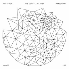 ROBOTRON feat. THE EGYPTIAN LOVER – pornographix V2.0