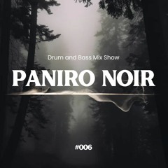 Paniro Noir - Drum And Bass Mix Show #006
