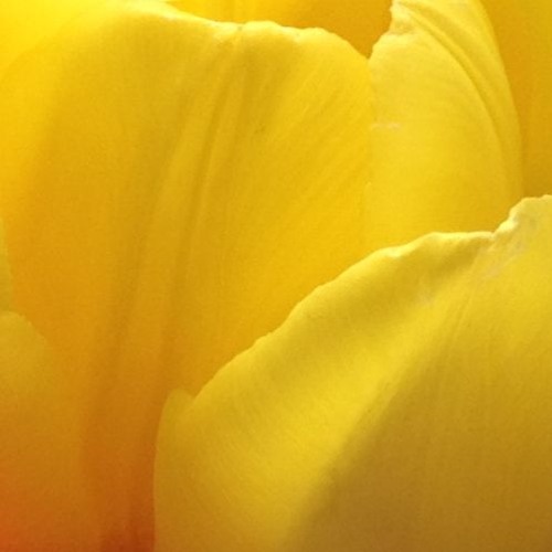 Forwards immer, backwards nimmer