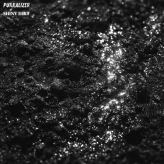 Shiny Dirt