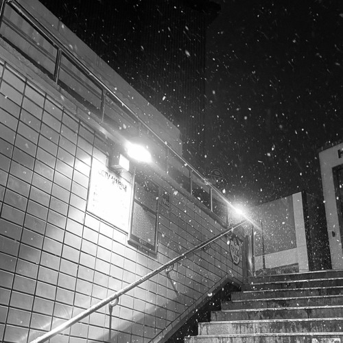 가로등 (feat. 수제동까스)