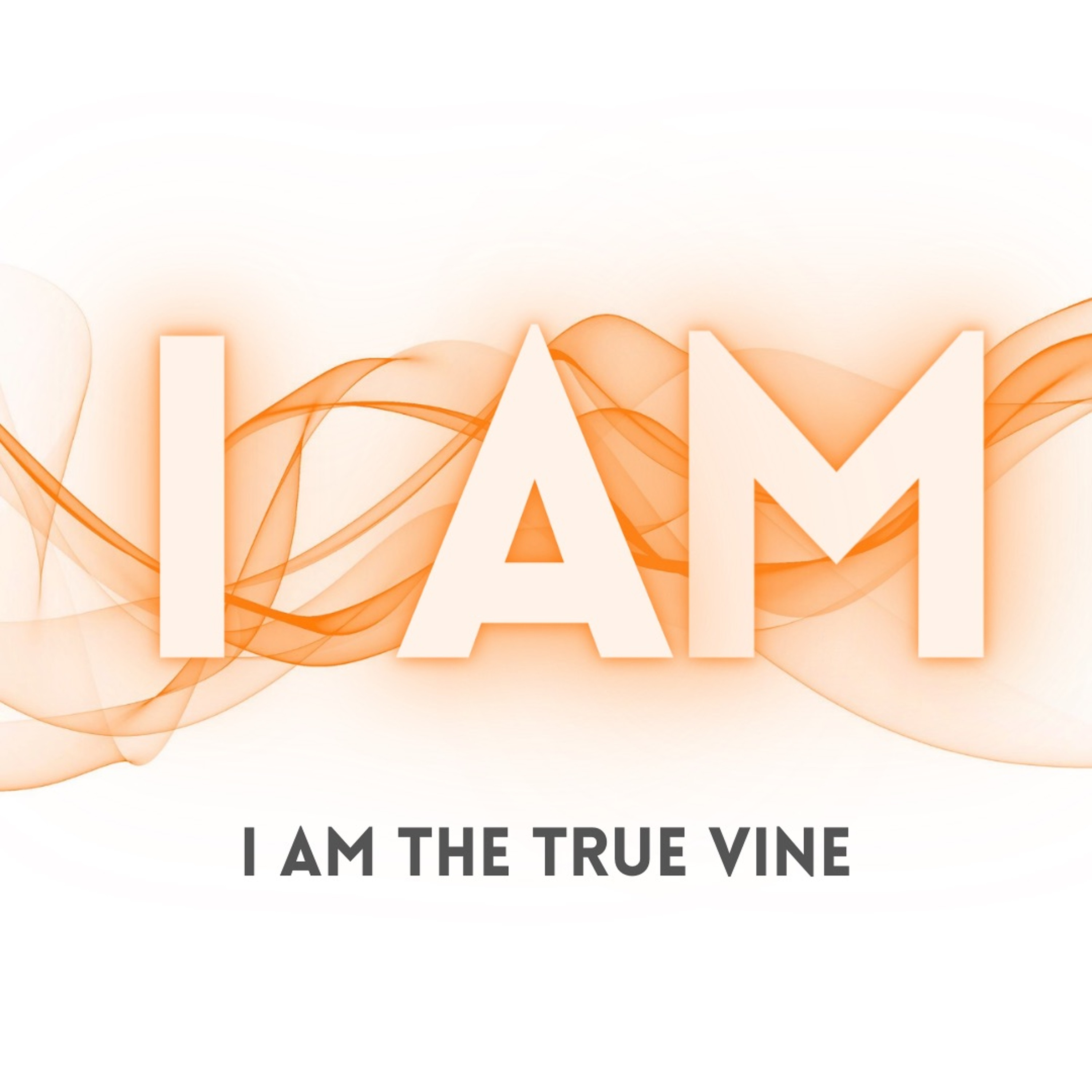 Messages from Trinity Assembly in Clay, NY