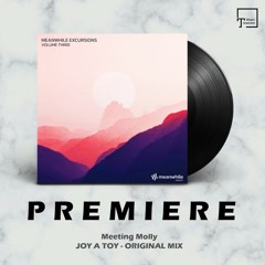 PREMIERE: Meeting Molly - Joy A Toy (Original Mix) [MEANWHILE]