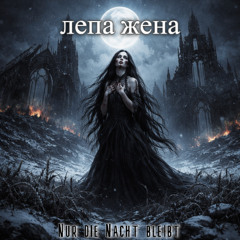 Nur die Nacht bleibt (Single)