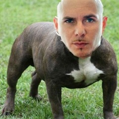 pitbull's wonderland