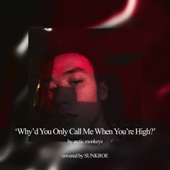 Why'd You Only Call Me When You're High (COVER)
