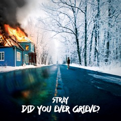 Did You Ever Grieve?