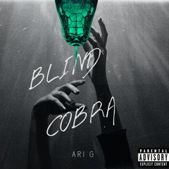 Ari G -Blind Cobra ( sza voice  X Megan cover freestyle)