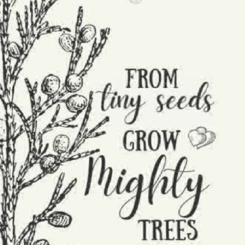Read [PDF] From Tiny Seeds Grow Mighty Trees: Professional Inspirational