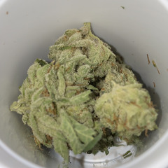 Backseat ( BEAT by Leisure_HOUSE ) - (MIX/ENGINEER - THEMOOSEHOUSE )