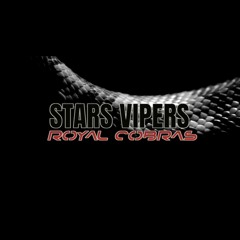 Stars Vipers Royal Cobras 2023-2024