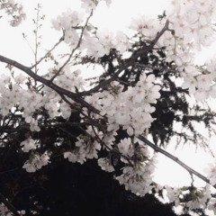 evening (negative.creeper, angelgrind)