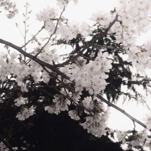 evening (negative.creeper, angelgrind)