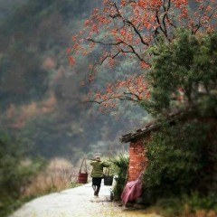 Arif Hidayat Ft. Eno Viola - Pintak Tapuak Babaleh (Official Music Video)