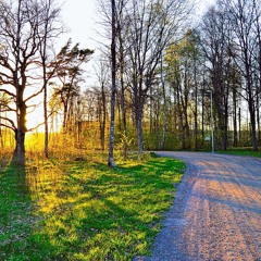 Towards Brightness