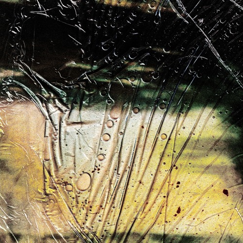 Premiere: dsp-1 - transire