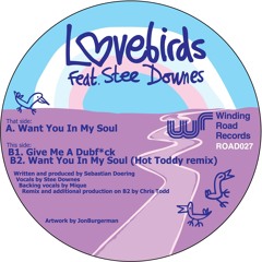 Want You In My Soul (Instrumental Mix) [feat. Stee Downes]