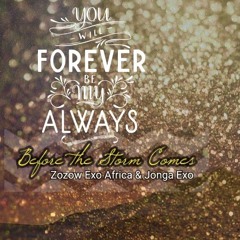 Before the Storm Comes - Zozow Exo Africa & Jonga Exo