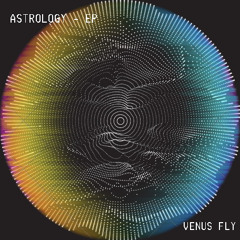 Venus Fly -  Jesters
