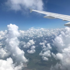 Vibe City Flights