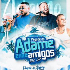 Pagode do Adame - Entre Amigos Vol1.