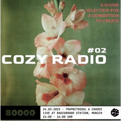 COZY RADIO EPISODE #2 @RADIO80000