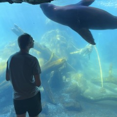 I hope heaven has a bronco