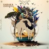DJ Diego Palacio - Saraka (Cafe De Anatolia)