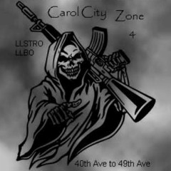 ZONE 4 CAROL CITY