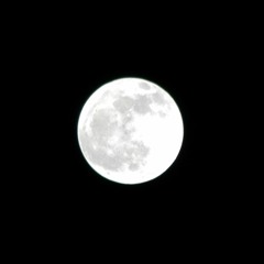 Both sides of the moon- Celeste-- my cover