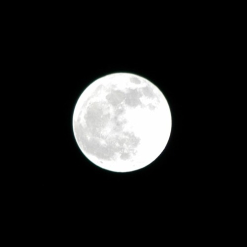 Both sides of the moon- Celeste-- my cover