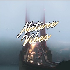 NatureVibes - Deep Café Vol.41