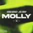 Cedric Gervais, Joel Corry - Molly (JAAS Remix)