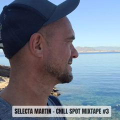 Selecta Martin - November Vibes (Chill Spot Mixtape #3)