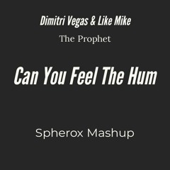 Dimitri Vegas & Like Mike VS The Prophet - Can You Feel The Hum ( Spherox Mashup )