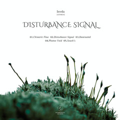 02.Disturbance Signal
