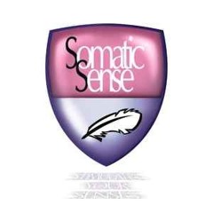 Flashback V - Somatic Sense