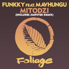 Funkky feat. Mavhungu – Mitodzi (Jimpster Remix)