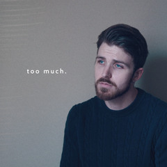 Too Much (prod. idly blare)