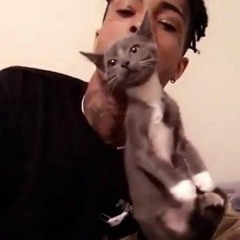 XXXTENTACION - #PROUDCATOWNER #IHATERAPPERS #IEATPUSSY (WITHOUT RICO NASTY)