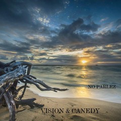 Vision & Canedy - No Parlez ''Marc Vision Remix''