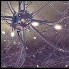 PAULH - Dopamine.  House - Tech - Progressive - Deep August 25