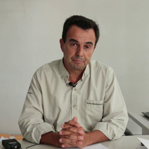 Carlos Molina - Carpetas Verdes 2024-2025