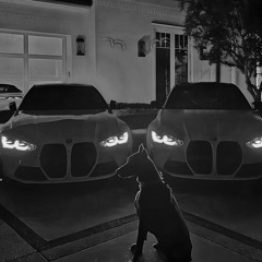Macan - Flagman