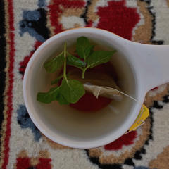 العام خلّي يسمع القلب لاصاح