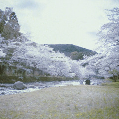 Izu Ambient 022
