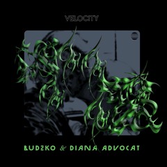 Budzko & Diana Advocat - Velocity