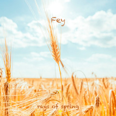 rays of spring live mix